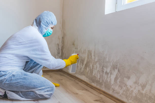 Licensed Crawl Space Mold Remediation service in Garland, NC - Car Mold Remediation