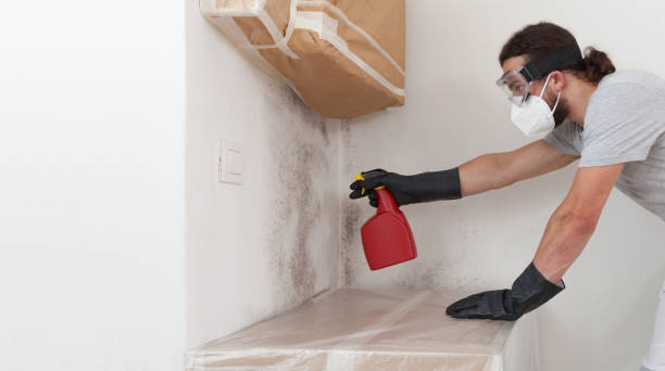 Professional Crawl Space Mold Remediation technician working in Garland, NC