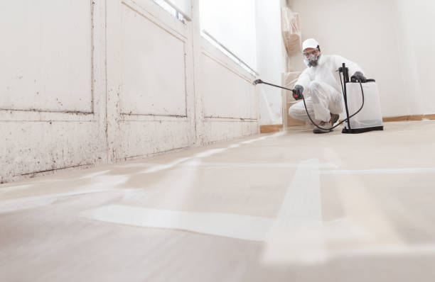24/7 Emergency Crawl Space Mold Remediation experts in Garland, NC