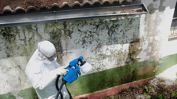 Top rated local Crawl Space Mold Remediation specialists in Garland, NC